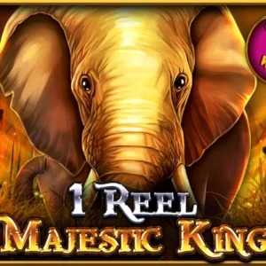 1 Reel Majestic King