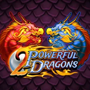 2 Powerful Dragons