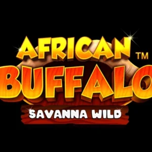 African Buffalo Savanna Wild