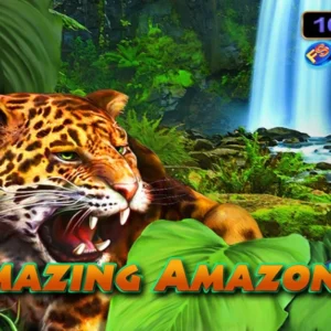 Amazing Amazonia