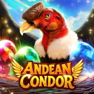 Andean Condor