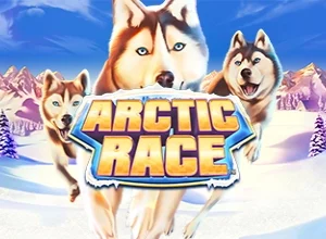 Arctic Race