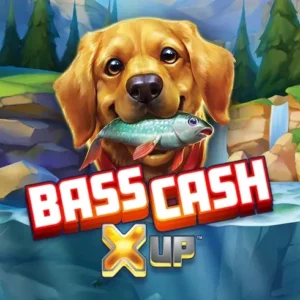 Bass Cash X UP