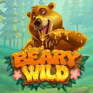 Beary Wild