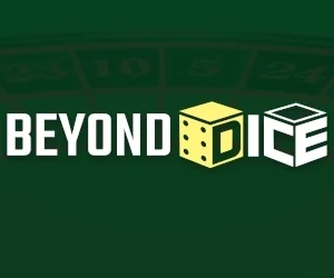 Beyond Dice