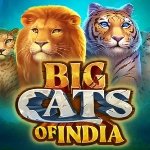 Big Cats of India