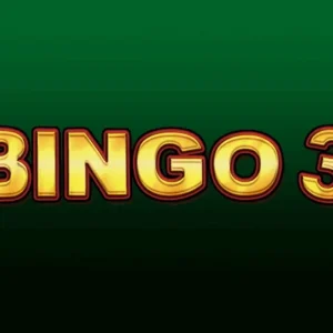 Bingo 3