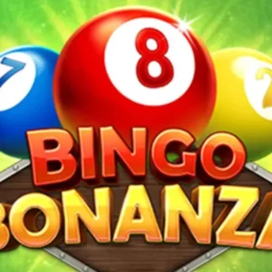 Bingo Bonanza