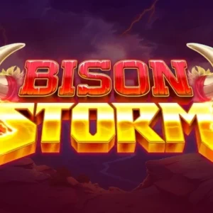 Bison Storm