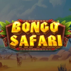 Bongo Safari