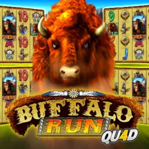 Buffalo Run Quad