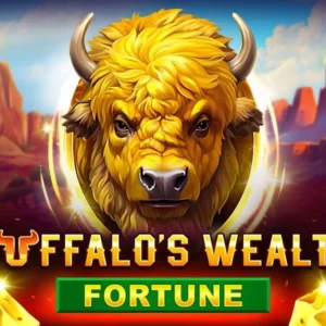 Buffalo's Wealth Fortune