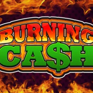 Burning Cash