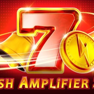 Cash Amplifier 243