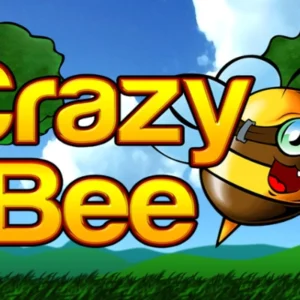 Crazy Bee
