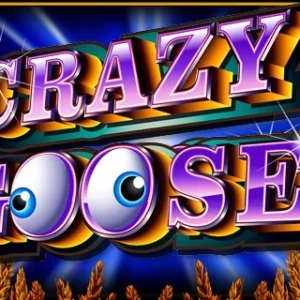 Crazy Goose
