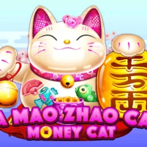 Da Mao Zhao Cai Money Cat