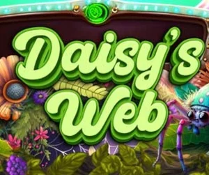 Daisy's Web