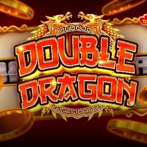 Double Dragon Classic