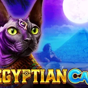 Egyptian Cat