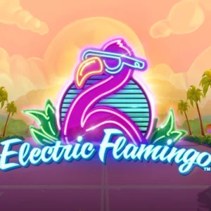 Electric Flamingo