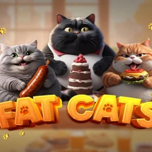 Fat Cats