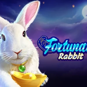 Fortunate Rabbit