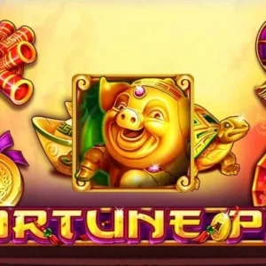 Fortune Pig