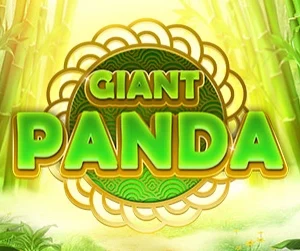 Giant Panda
