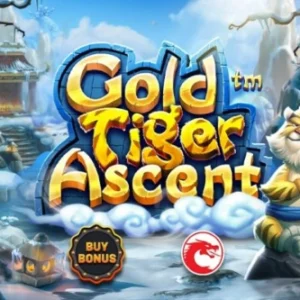 Gold Tiger Ascent