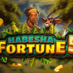 Habesha Fortune 5