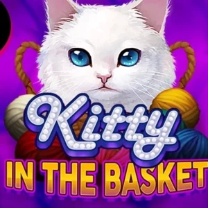 Kitty in the Basket