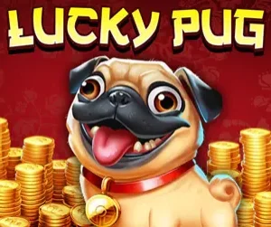 Lucky Pug