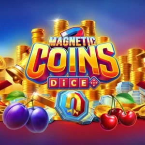 Magnetic Coins Dice