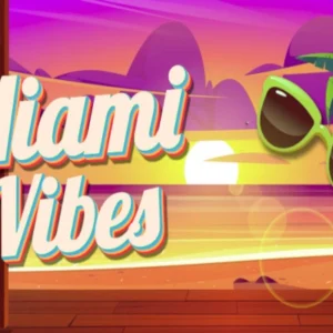 Miami Vibes
