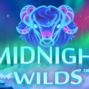 Midnight Wilds