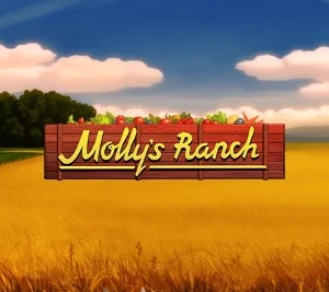Molly's Ranch