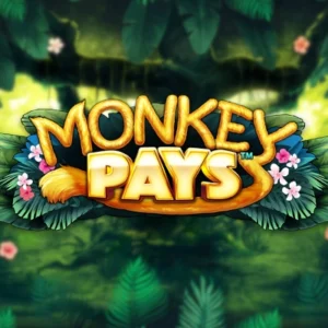 Monkey Pays