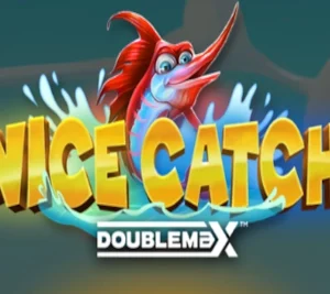 Nice Catch DoubleMax