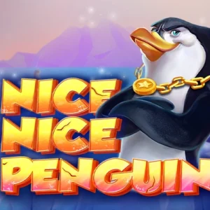 Nice Nice Penguin