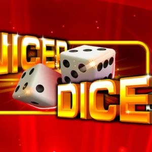 Nicer Dice 40