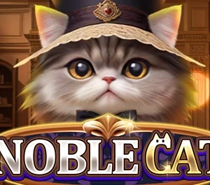 Noble Cat