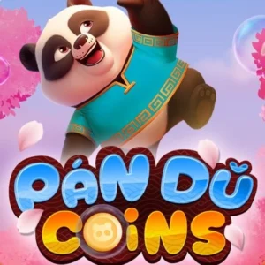 Pan Du Coins