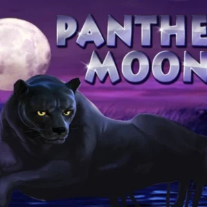 Panther Moon