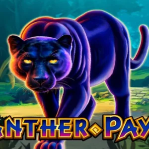 Panther Pays