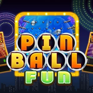 Pinball Fun
