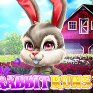 Rabbit Runs