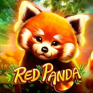 Red Panda