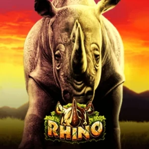 Rhino