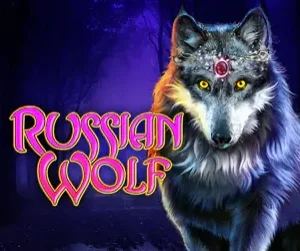 Russian Wolf